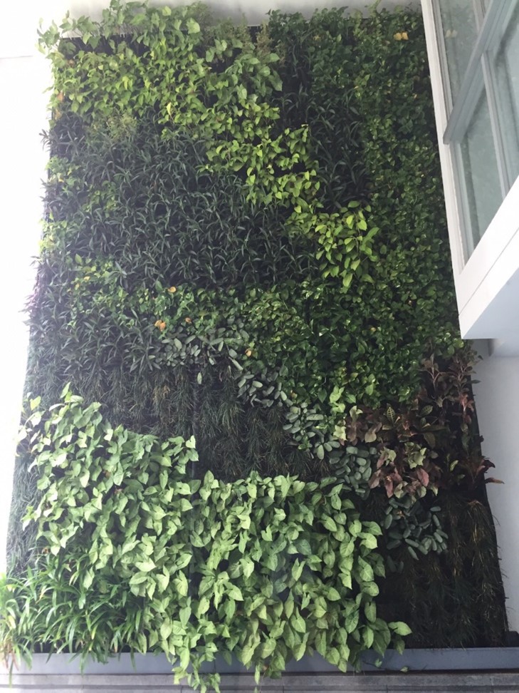Green Wall, Vertical Garden | EcoClean Technology Sdn. Bhd.