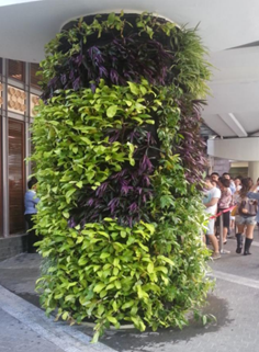 Green Wall, Vertical Garden | EcoClean Technology Sdn. Bhd.