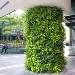 Green Wall | EcoClean Technology Sdn. Bhd.