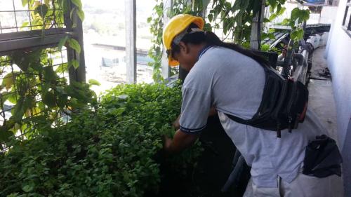 One Powerhouse Pilot Project 25 - Aquaponics | Ecoclean Technology