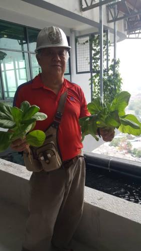 One Powerhouse Pilot Project 3 - Aquaponics plant | EcoClean Technology