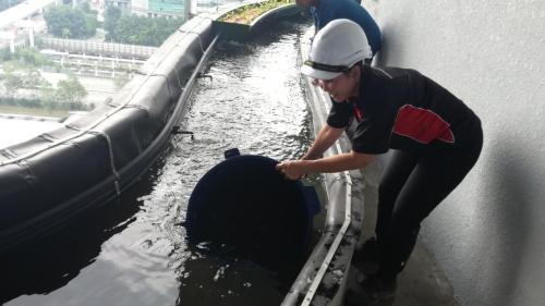 One Powerhouse Pilot Project - Aquaponics system | EcoClean Technology