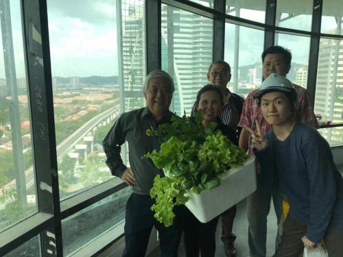 One Powerhouse Pilot Project 10 - Aquaponics system | EcoClean Technology