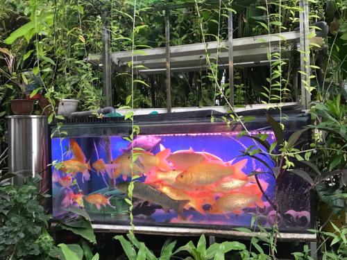 One Powerhouse Pilot Project 11 - Continuous Deflective Separation Gross Pollutant Trap | EcoClean Technology