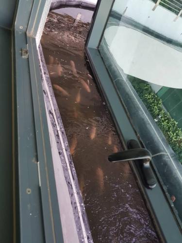 One Powerhouse Pilot Project 16 - Aquaponics system | EcoClean Technology