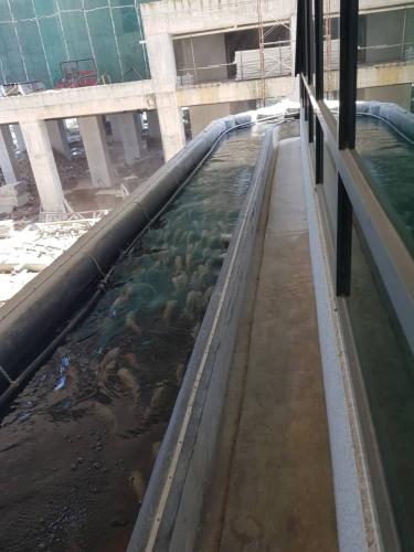 One Powerhouse Pilot Project 17 - Aquaponics system | EcoClean Technology