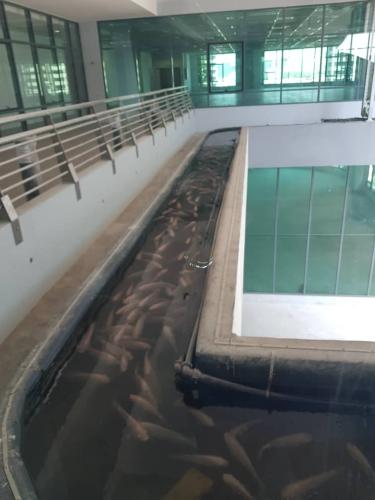 One Powerhouse Pilot Project 18 - Aquaponics system | EcoClean Technology