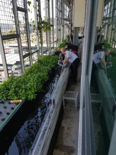 One Powerhouse Pilot Project 19 - Aquaponics plant | EcoClean Technology