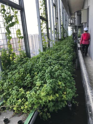 Continuous Deflective Separation Gross Pollutant Trap - aquaponics | Ecoclean Technology