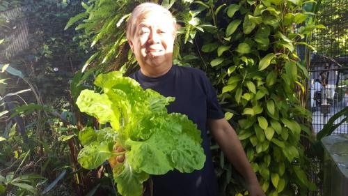 One Powerhouse Pilot Project 21 - Aquaponics | Ecoclean Technology