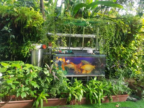 One Powerhouse Pilot Project 26 - Aquaponics | Ecoclean Technology