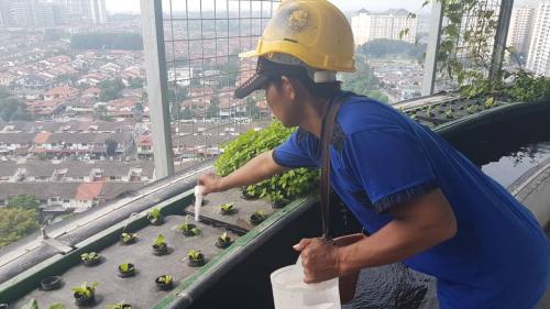 One Powerhouse Pilot Project 29 - Aquaponics | Ecoclean Technology