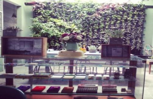 Capture-3 - Green Wall / Vertical Garden | Ecoclean Technology