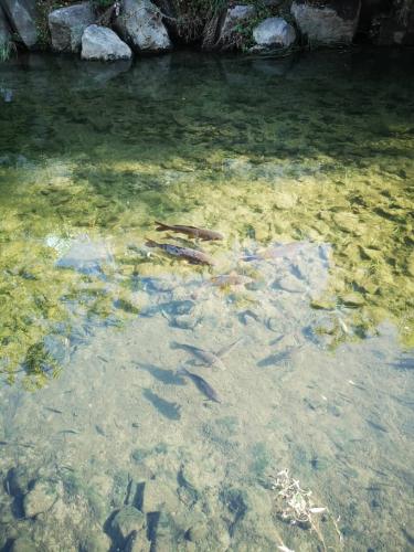 Medini Development, Johor CDS P3018 - Gross Pollutant Traps | EcoClean Technology