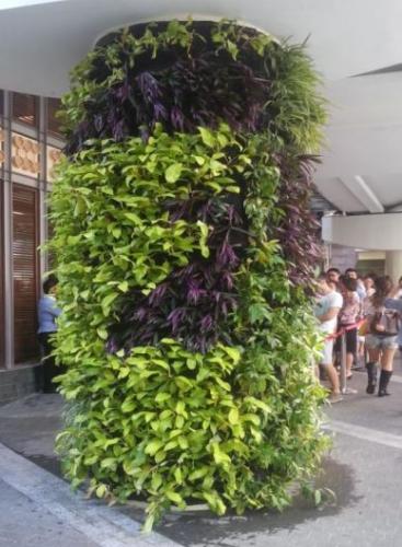 Capture-1 - Green Wall / Vertical Garden | EcoClean Technology
