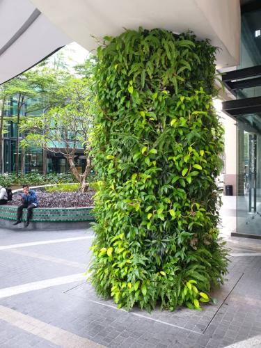 WhatsApp-Image-2023-02-21-at-17.56.51 - Green Wall / Vertical Garden | EcoClean Technology