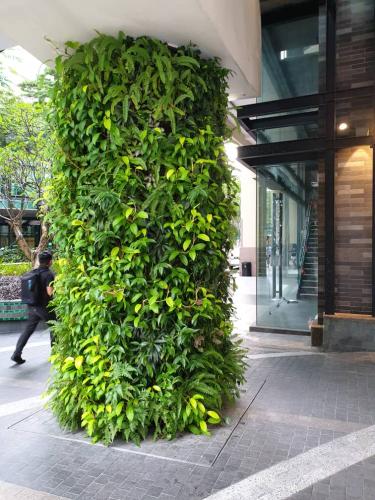 WhatsApp-Image-2023-02-21-at-17.56.511 - Green Wall / Vertical Garden | EcoClean Technology