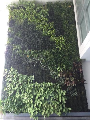 Capture-4 - Green Wall / Vertical Garden | EcoClean Technology