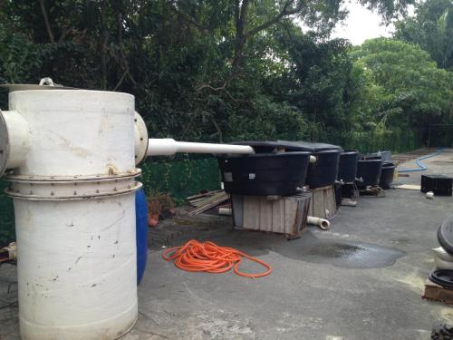 Picture-S3-599  - Pilot Plant - Wisma Zelan | Ecoclean Technology